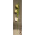 Fritillaria műanyag 44cm zöld-fehér