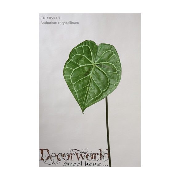 Anthurium műanyag 58cm mohazöld