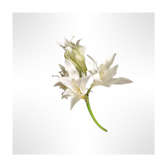Liliom 68cm - Fehér
