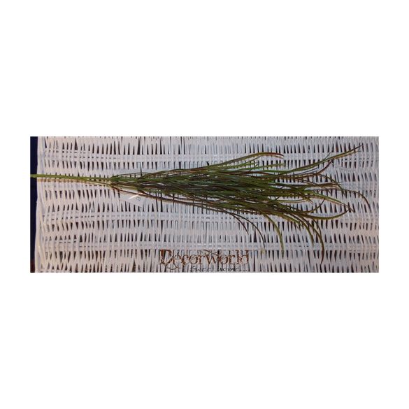 Carex bokor 84cm - Zöld-piros