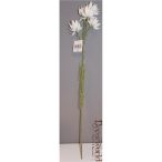 Protea műanyag 62cm fehér