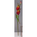 Gloriosa 50cm - 2 féle