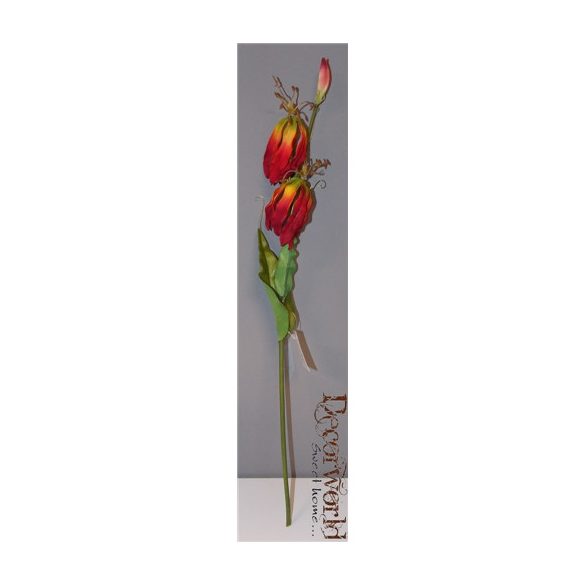 Gloriosa 50cm - 2 féle
