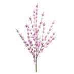 Physalis spray 75cm - Lila