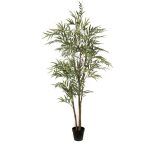 Eucalyptus 210cm (knock down packing)