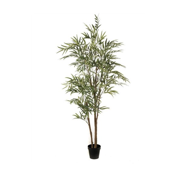 Eucalyptus 210cm (knock down packing)