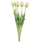 Tulip bundle x5 42cm - Fehér/zöld