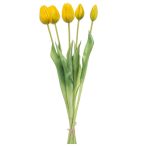 Tulip bundle x5 42cm - Sárga