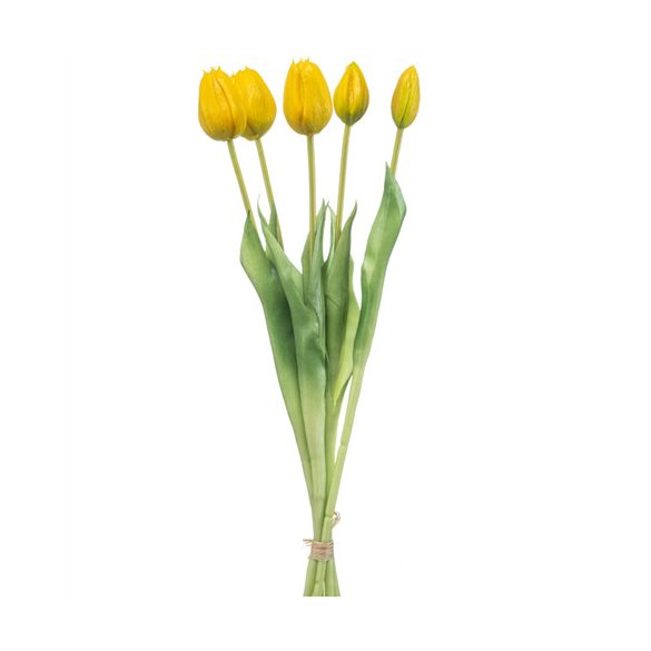 Tulip bundle x5 42cm - Sárga