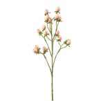 Hypericum spray 60cm - Rózsaszín