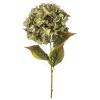 Hydrangea spray xl 90cm - Zöld