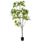 Pachira tree 230cm (műanyag cserépben)