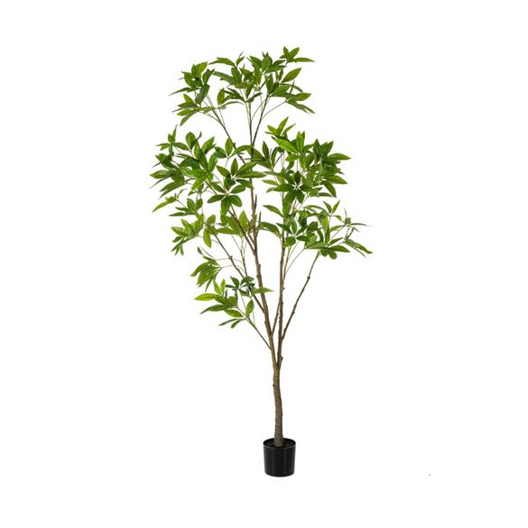 Pachira tree 230cm (műanyag cserépben)