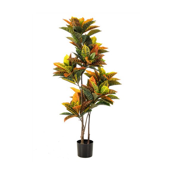 Croton plant 95cm