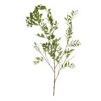 Ruscus spray 140cm - Zöld