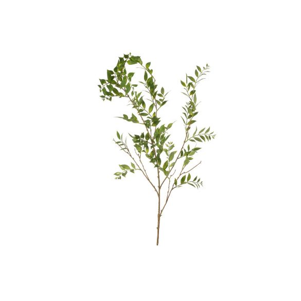 Ruscus spray 140cm - Zöld