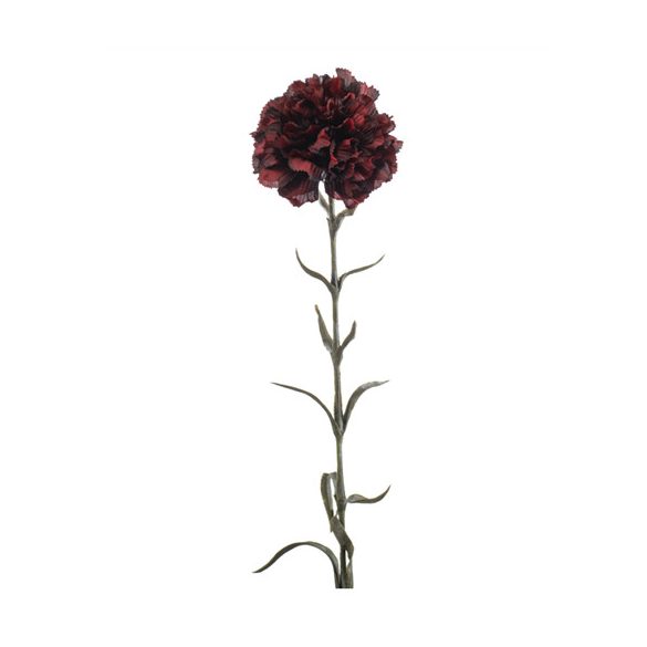 Dianthus spray 67cm - Piros/fekete
