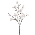 Magnolia spray 85cm - Krém