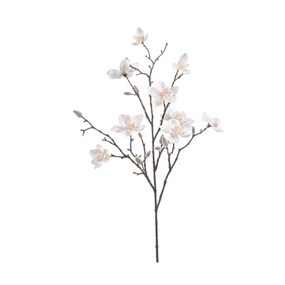 Magnolia spray 85cm - Krém