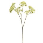Dill spray 58cm - Fehér