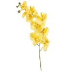 Phalaenopsis spray 95cm - Sárga