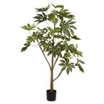 Fatsia plant 150cm (műanyag cserépben)