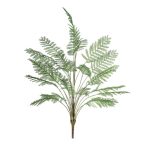 Mimosa bush 120cm - Zöld