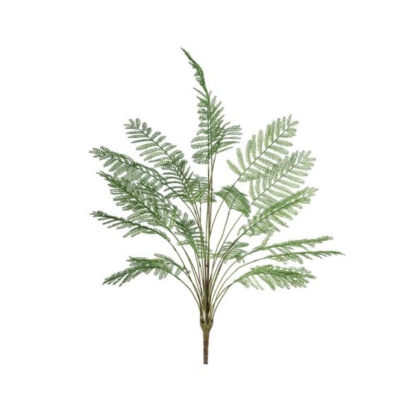 Mimosa bush 120cm - Zöld