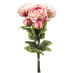 Peony bundle x3 50cm - Beauty