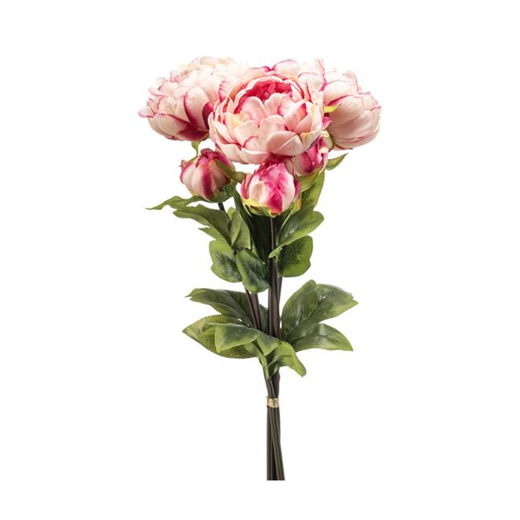 Peony bundle x3 50cm - Beauty
