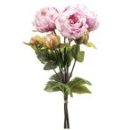 Peony bundle x3 50cm - Világos lila