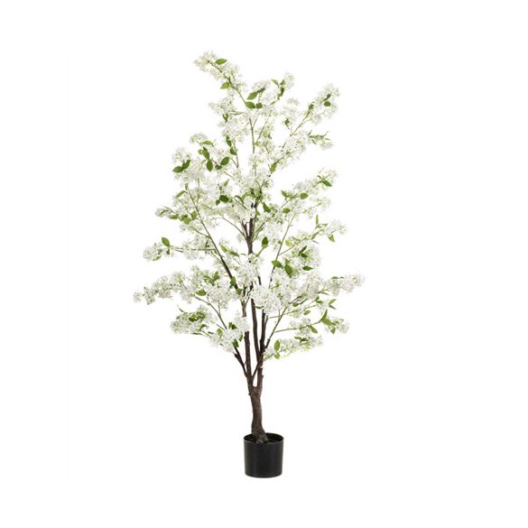 Jasmin tree 160cm - Fehér