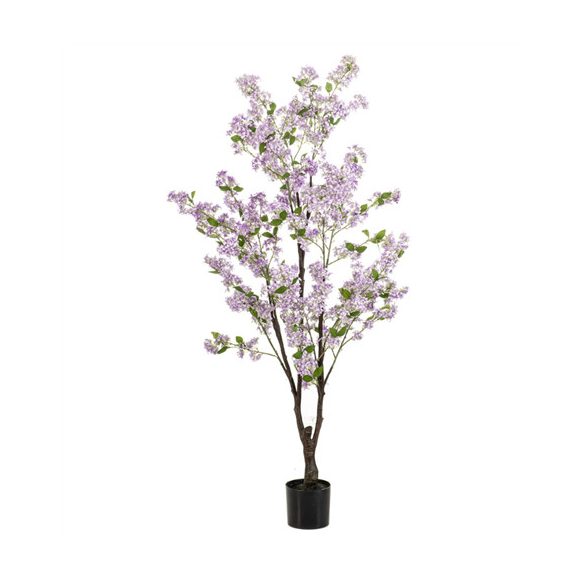 Jasmin tree 160cm - Világos lila