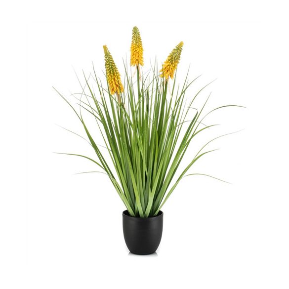Kniphofia 90cm - Sárga