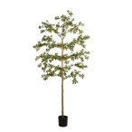 Bucida tree deluxe 210cm (műanyag cserépben)