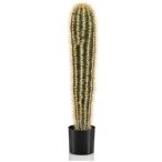 Cactus pachycereus 105cm (műanyag cserépben)
