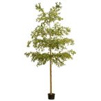 Bucida tree deluxe 390cm (műanyag cserépben)