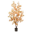 Blossom cherry tree 135cm (műanyag cserépben) - Barack