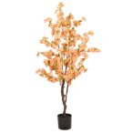 Blossom cherry tree 175cm (műanyag cserépben) - Barack