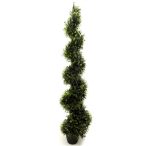 Buxus spirál 180 cm kaspóban