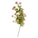 Eucalyptuság 61cm - Zöld/rózsaszín