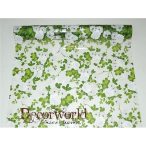 Celofán tekercs mintás több szín 50cm/10m