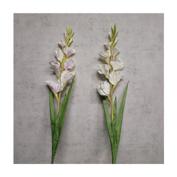 Szálas kardvirág - 2 színben