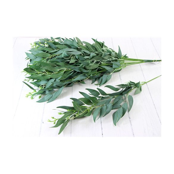 Ruscus ág 60cm (fűzfalevél) - Zöld s/12db