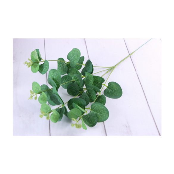 Eucalyptus szál - Green /darab