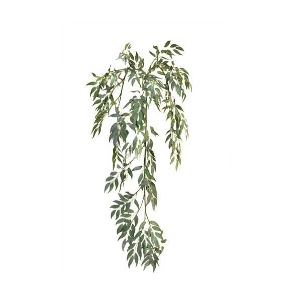 Ruscus futó 130cm - Púder zöld
