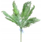 Szálas tuja ág x5 48cm