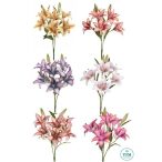 Liliom bokros 3ág 60cm