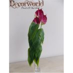 Flamingó 41cm 3 szál