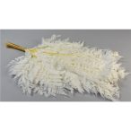 Páfrány preparátum - Fehérített S/10